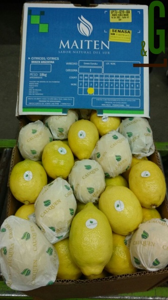 limón Eureka 1.jpg