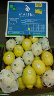 limón Eureka 1
