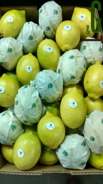 limón Eureka 2