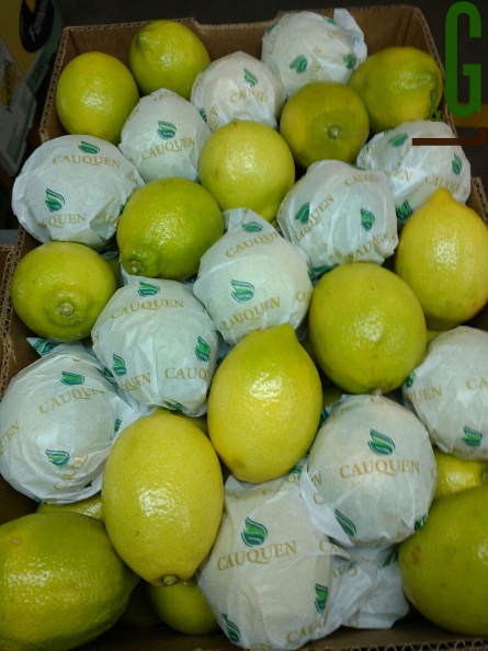limón Eureka 5.jpg